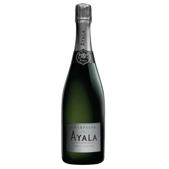 Champagne Magnum AYALA Brut Nature