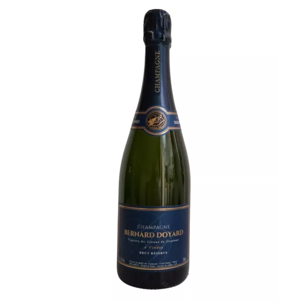 Bernard Doyard Brut Réserve Blanc de Blancs 香槟，正面图