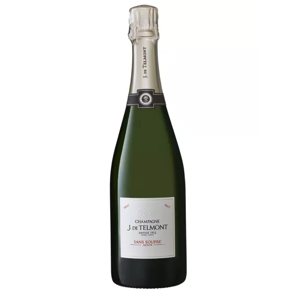 J. DE TELMONT Champagne Sans soufre ajouté Brut 2013 vintage
