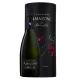 PALMER champagne Amazone